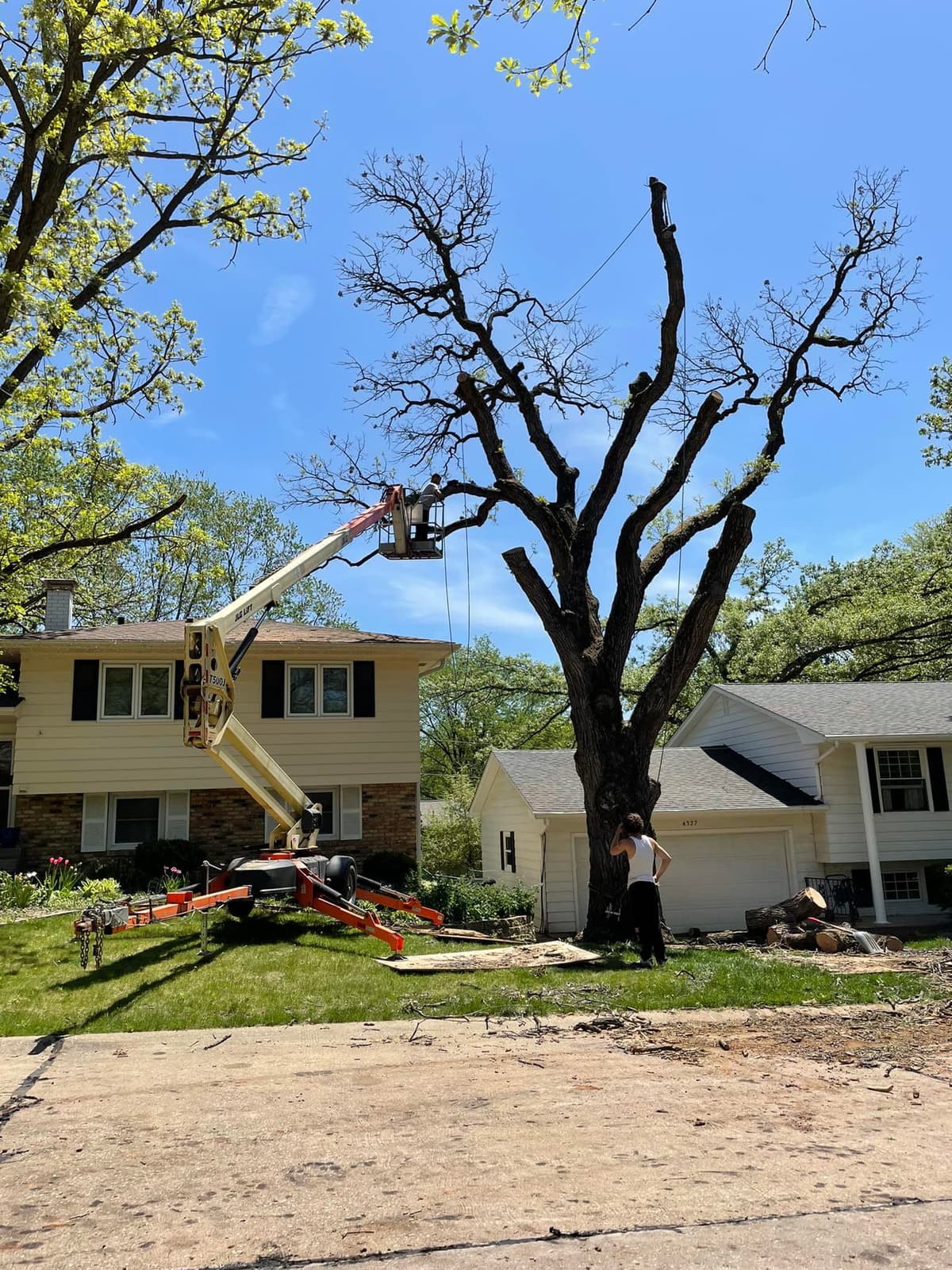 A+ Tree & Snow Removal crew using a crane for tree removal